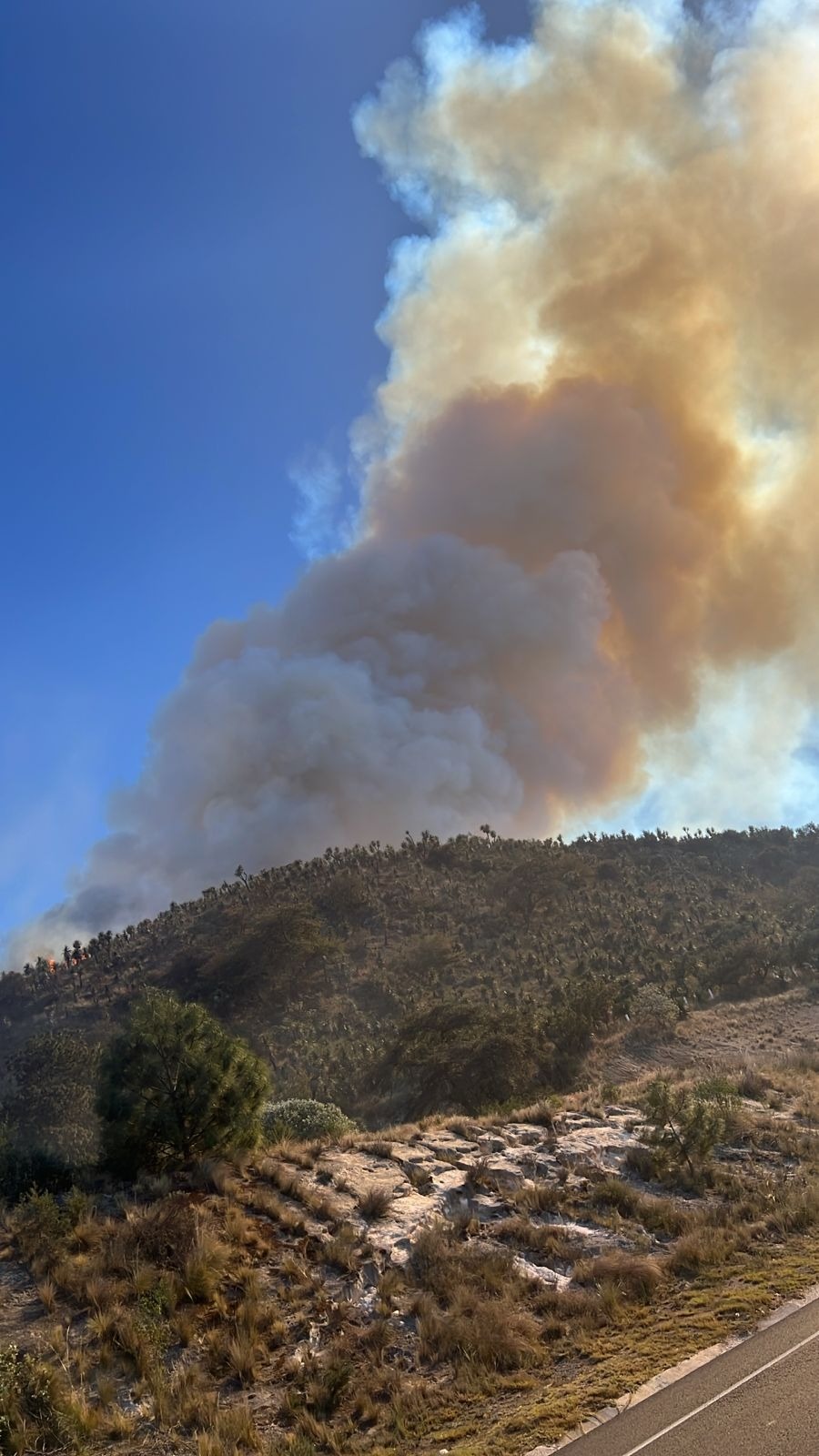 Gobierno del estado se mantiene alerta ante incendio en Puebla